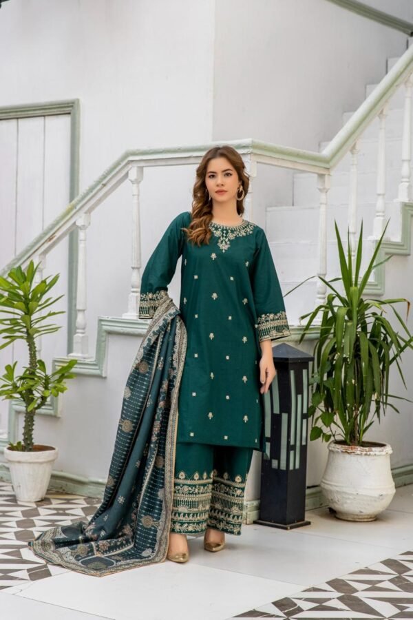 Faded Jade Embroidered long 3-Piece-Khaddar| SR1181