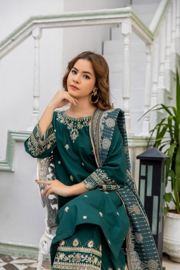 Faded Jade Embroidered long 3-Piece-Khaddar| SR1181 - Image 2